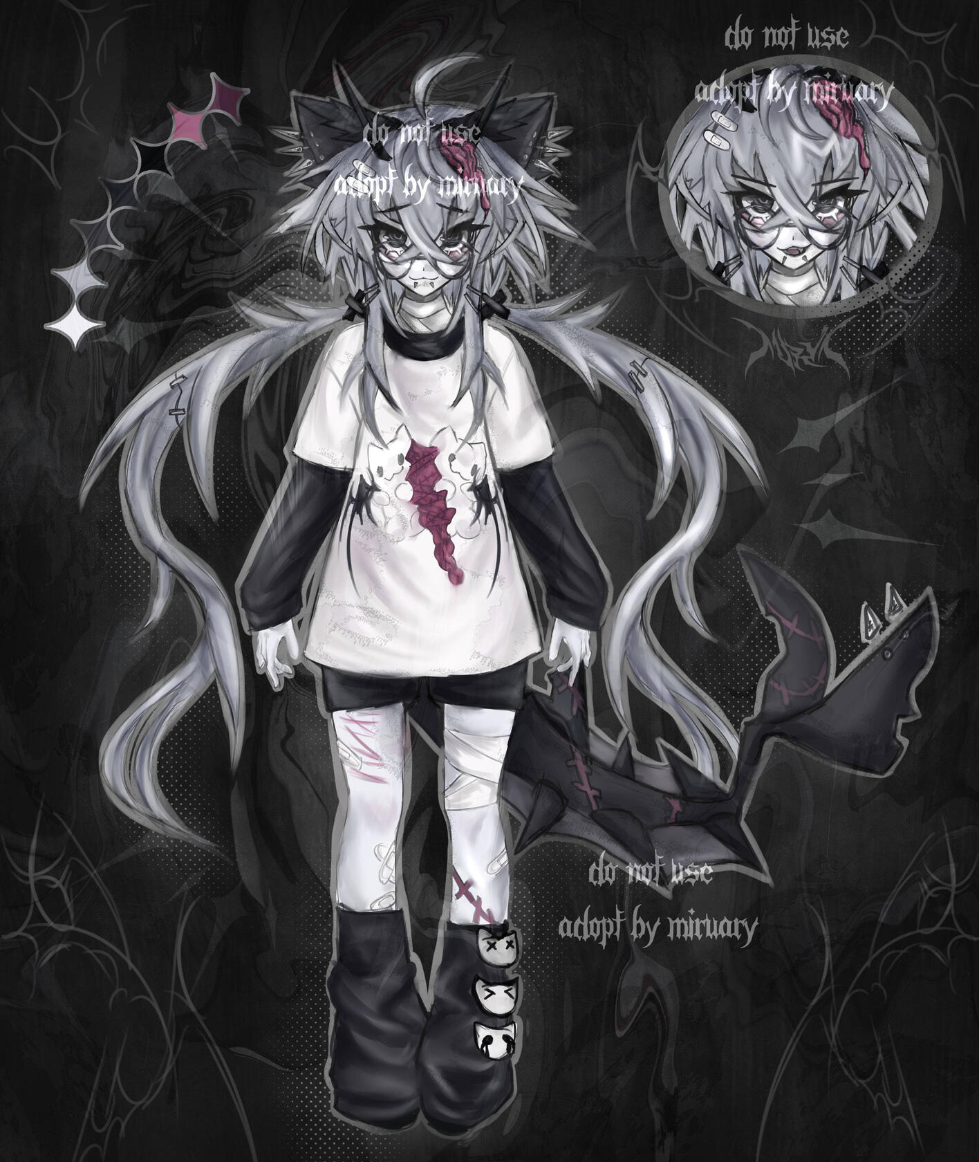 " cat shark " - adopt work 2024
